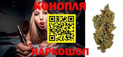 гашик Балахна