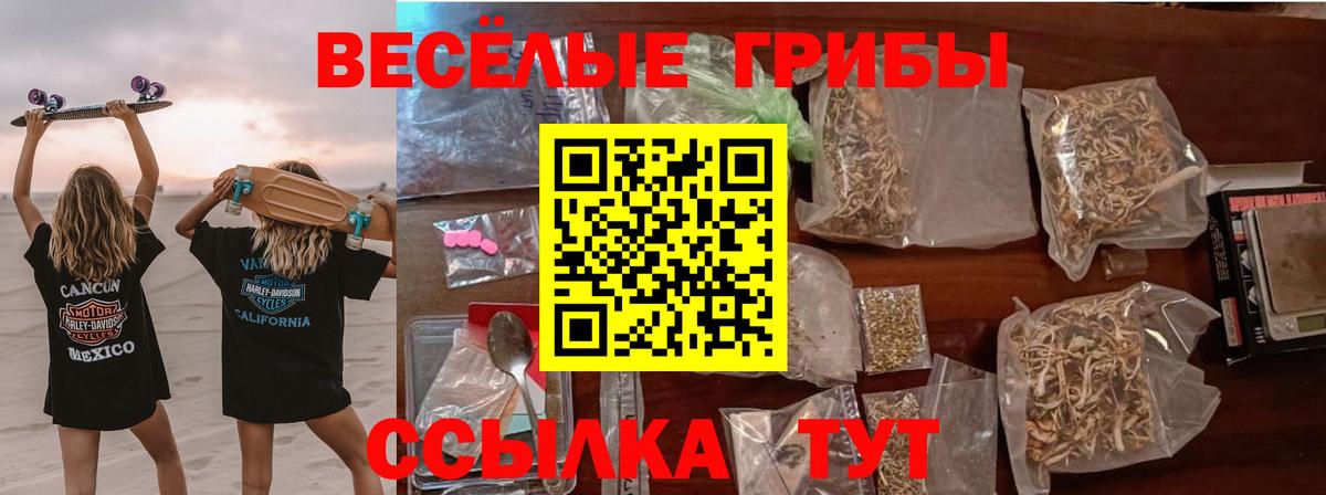 Новоуральск  Галлюциногенные грибы Magic Shrooms  Вход с VPN 
