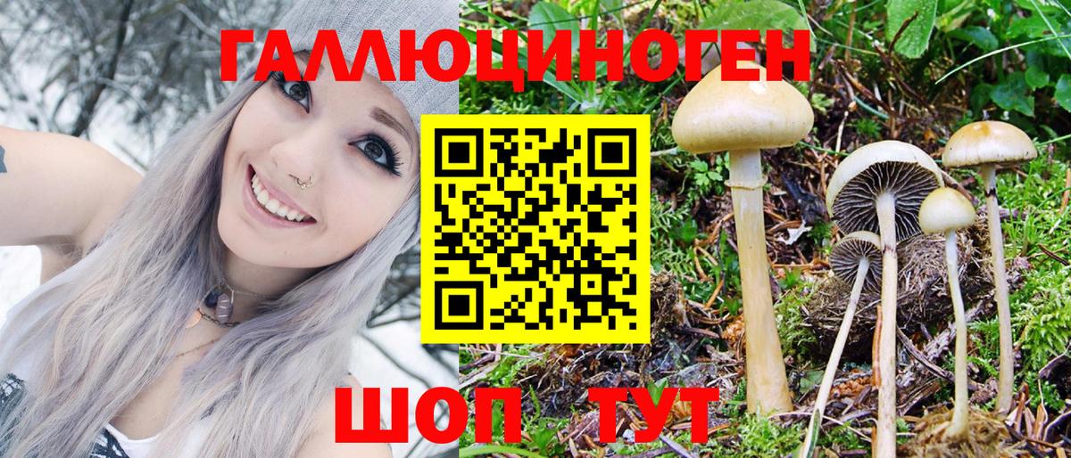 Галлюциногенные грибы мицелий Новоуральск