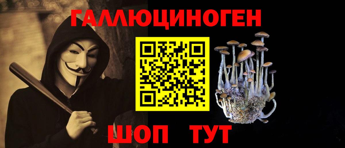 Псилоцибиновые грибы GOLDEN TEACHER Новоуральск