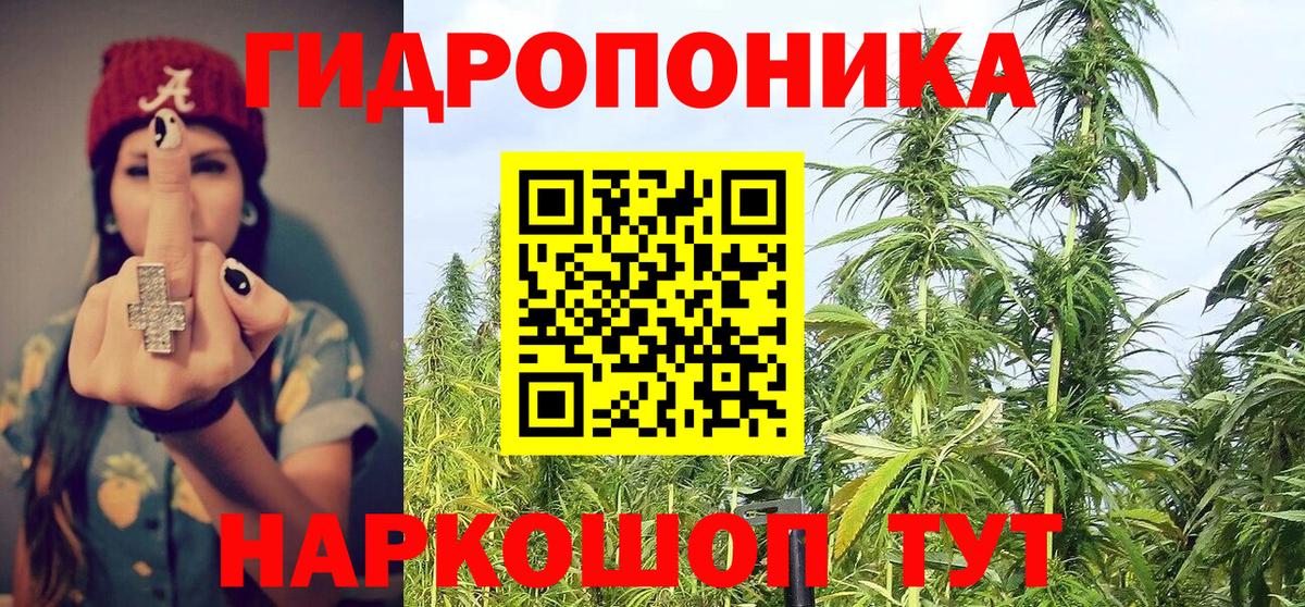 Канабис семена Новоуральск